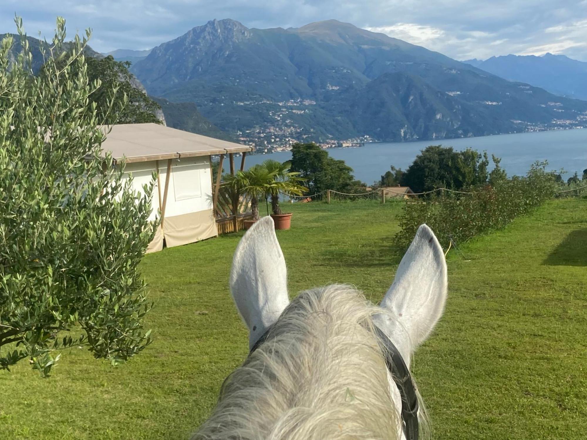Luxury Lodge Bellagio Buitenkant foto